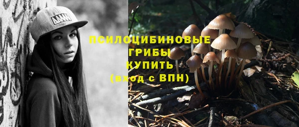 твердый Кинешма
