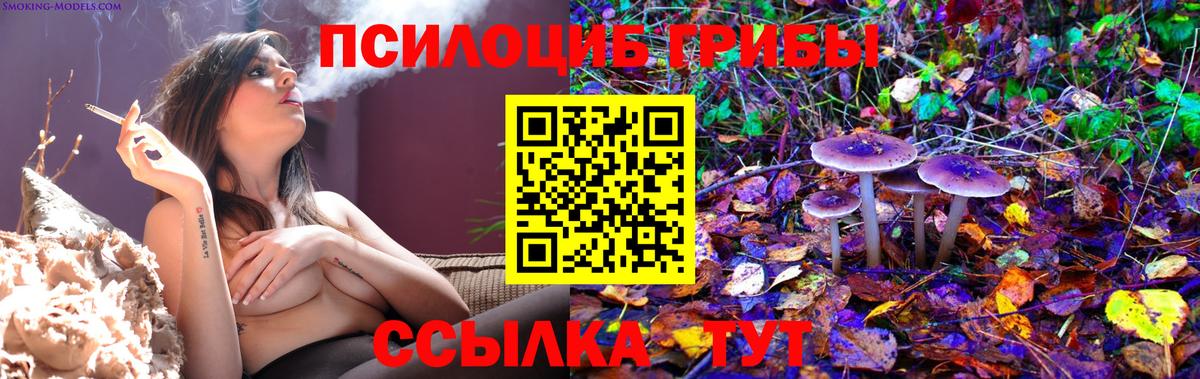 Галлюциногенные грибы мухоморы  Вход с VPN  Псилоцибиновые грибы мицелий  Клин 